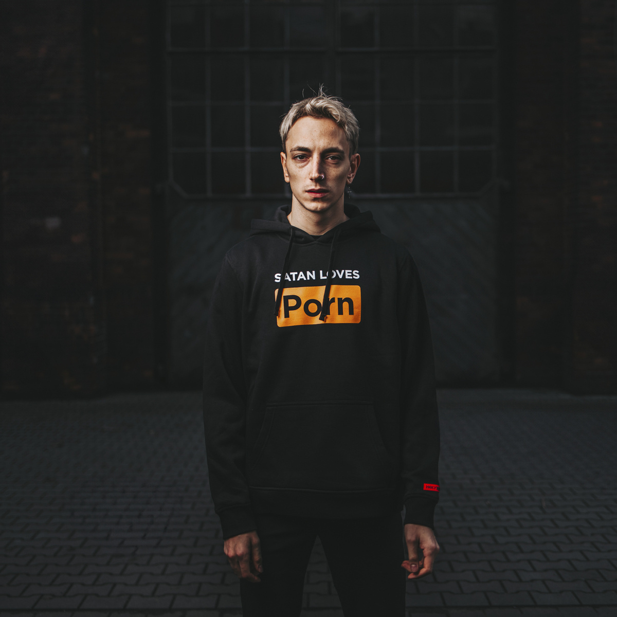 Satan Loves Porn hoodie